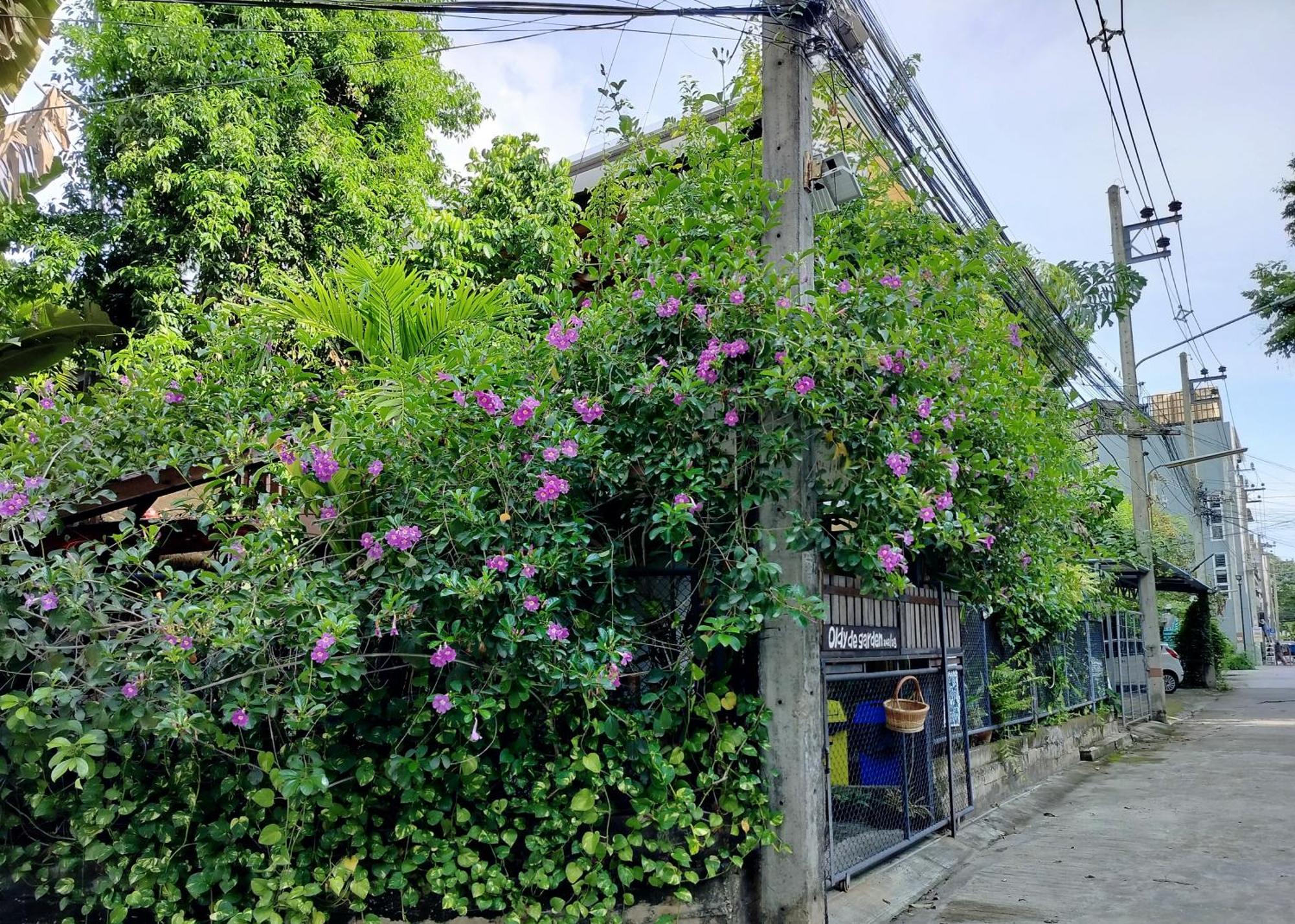 Oldy De Garden Aparthotel Chiang Mai Exterior foto